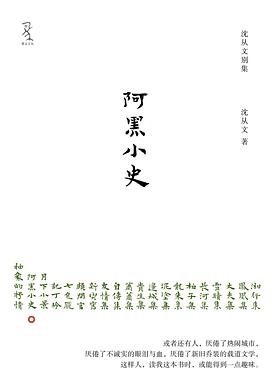 阿黑小史