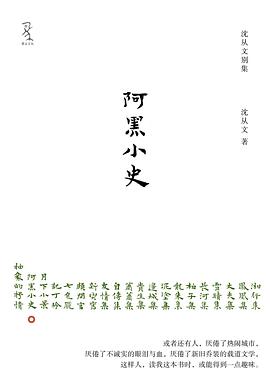 阿黑小史