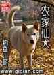 農家仙犬